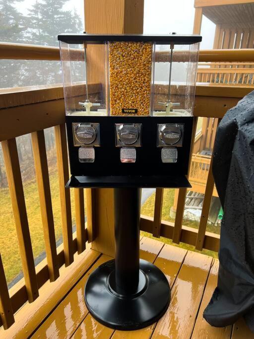 202D Summit - Completely Remodeled Modern Condo In Summit! Snowshoe Kültér fotó